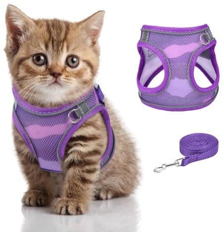 Brifit Harnais pour Chat Anti-Fugue, Harnais Chaton Réglable, Laisse Chat Sécurité avec Bande Réfléchissante & Maille Respirante, Harness Laisse pour Chats, Chaton, Chiot, Pourpre, XXS