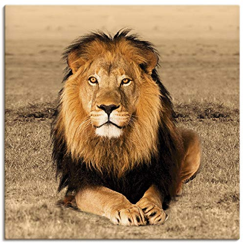 ARTLAND Wanddeko Leinwand Bilder Wandbild 50x50 cm Löwe Tiere Afrika Safari Savanne Steppe Natur Löwenmähne T5RJ