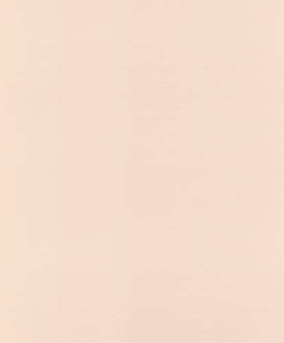 Rasch Tapeten Vliestapete (universell) Rosa 10,05 m x 0,53 m Denzo 806830