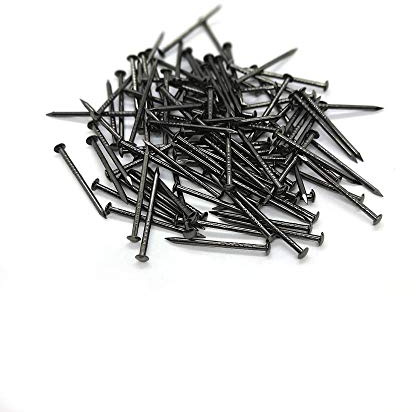 Meitebeisi Black Nails Round Head Wood Screw Nail Decorative Furniture Miniature Nail 1inch/25mm, Pack of 100