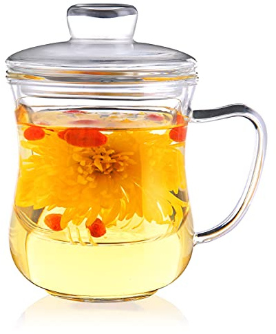 CNGLASS Glass Tea Cup with Removable Infuser and Lid,10oz Thickened Glass Infuser Mug,Borosilicate Glass Mug for Loose Leaf Tea,Teabags