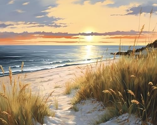 TISHIRON Peinture à la main par numéros Kits de peinture pour adultes Coucher de soleil sur la mer Acrylique Pigment Artisanat 40,6 x 50,8 cm