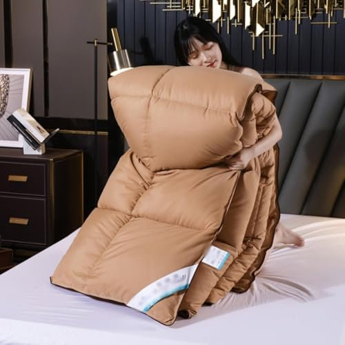 Feder Daunendecke, Winter Warm Sommer Weich gesteppt Daunen Alternative Bettdecke, Warm Hotel Stil Bettdecke, Dicker Winter Bettdecke (H,180 * 220cm/2kg)