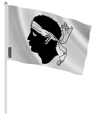 Mini Drapeau Corse en Plusieurs Tailles 30x45cm Plastique