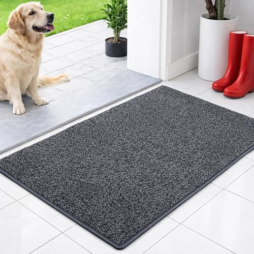 Floordirekt Schmutzfangmatte innen 80 x 120 cm - Anthrazit - rutschfeste Maschinenwaschbare Fußmatte - Türmatte Sauberlaufmattestürmatte - Fussmatte für Hund - Haustür & Flur - NASA