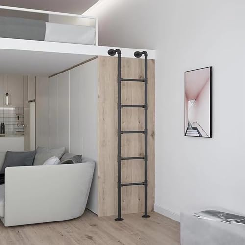 ZENSTYW Scaletta Letto A Castello,Scala Mansardata A Parete,Industriale Scale per Arrampicata,Adatto Sia per Uso Interno Che Esterno,Facile da Installare(2.9m/9.5ft)