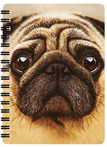 3D LiveLife Jotter - Mops från Deluxebase. Linskulär 3D Hund A6 Spiralbok med vanligt återvunnet papper. Konstverk licensierat från den kända konstnären David Penfound.