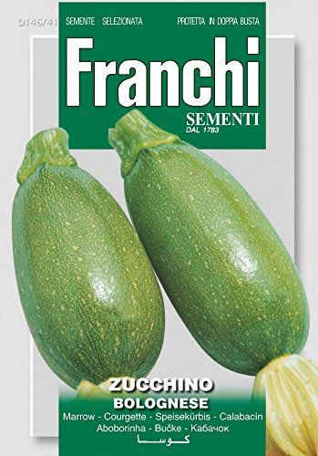 SEMI ZUCCHINO BOLOGNESE DOPPIA BUSTA FRANCHI SEMENTI