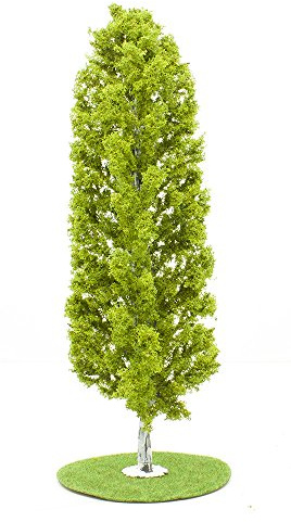 Heki Birke, Höhe: 27 cm