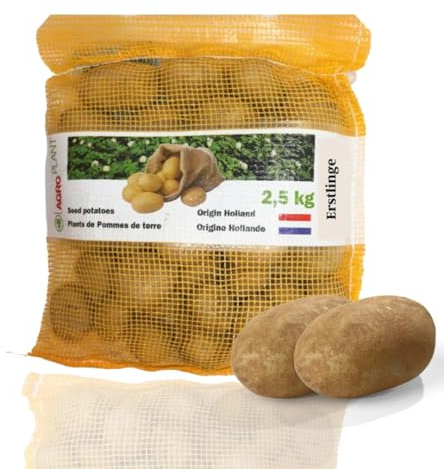 Pflanzkartoffeln, Sorte: Holl. Erstlinge (Frühkartoffel),2,5 kg (ca. 30 Stück), vorwiegend festkochend, Premium Saatkartoffeln, Zertifiziertes Pflanzgut, das Original vom Fachmann