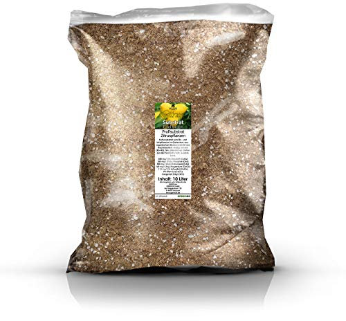 GREEN24 Zitruspflanzenerde Profi Linie – 10 Liter Citrus Substrat für mediterrane Kübelpflanzen