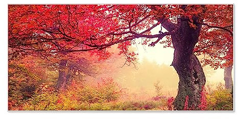 banjado Magnettafel weiß 78 x 37cm / Magnetwand Metall/Magnetpinnwand als Memoboard/Pinnwand Magnettafel Küche, Büro, Kinderzimmer inkl. 4 Magnete & Montageset - Motiv Lichtung Im Herbst