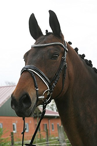 Hans Melzer Horse Equipment Trense Hagen, schwarz/weiß unterlegt, Extra Warmblut