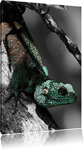 Pixxprint Agama auf Baum AST, Größe: 100x70cm, Leinwandbild, fertig gespannt, Wandbild, Dekoration, Kunstdruck, kein Poster