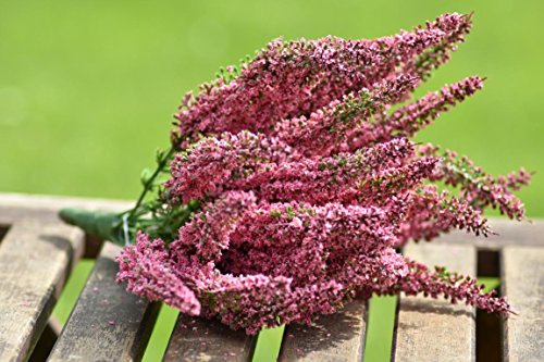 mucplants Künstliche Erika Calluna Heide Busch Pink 24 Blütenstände