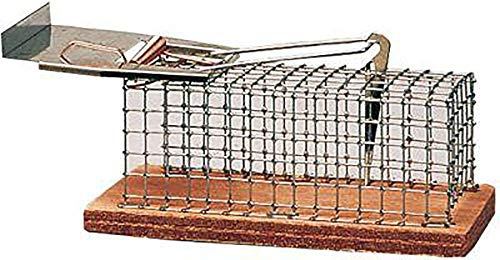Luna 5001 - Trampa para roedores tipo jaula (metálica, 15 x 5 x 5 cm)
