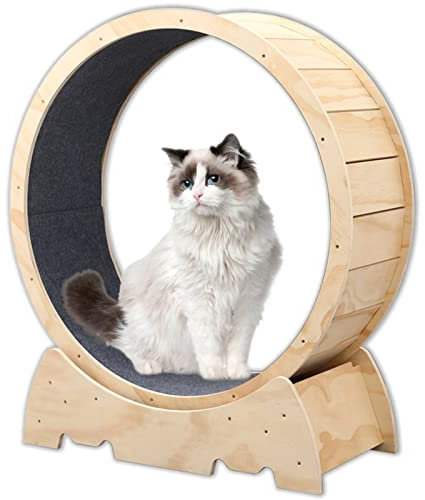 QTQHOME Katzen-Laufrad, Indoor-Katzenspielzeug, Laufrad, niedliches Naturholz-Katzenrad für alle Katzen, Gewichtsverlust (D106 cm), Natur)