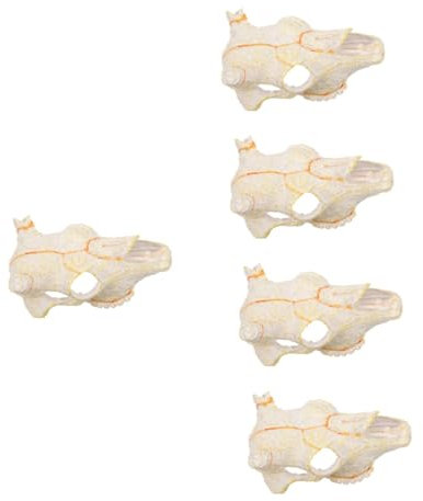 INOOMP 5 Pezzi Acquario Grotta Decorazione Rettile Nascondiglio Teschio Gamberetti Rifugio Resina Materiale Ornamento Acquario