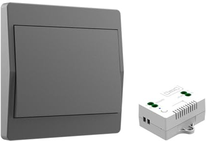 ACOLY Interruptor inalámbrico autogenerador gris con receptor, control remoto inalámbrico para iluminación, para lámpara, luz, calentador, uso doméstico (1 a 1)