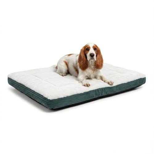 MH Home Dog Bed With Removeable Washable Cover, Pet Cat Beds Cushion Mattress, Soft Warm Dog Mat Pad For Dogs (Medium 60 x 80 cm, Cozy Paws)