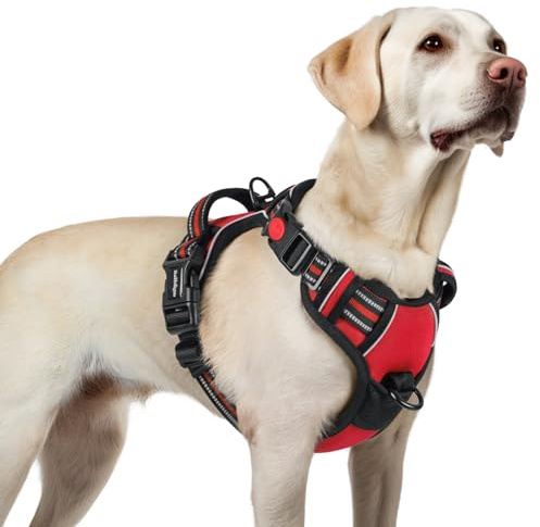 rabbitgoo Harnais Chien avec 3 Boucles, Facile à Mettre et à Enlever, Harnais Anti Traction pour Chien avec Poignée et Attache Devant, Réglable, Réfléchissant, Arnet pour Chiens Grand, Rouge, L