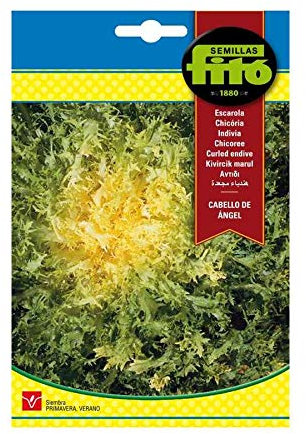 Semillas fitó M116082 - Semillas escarola Cabello de Angel