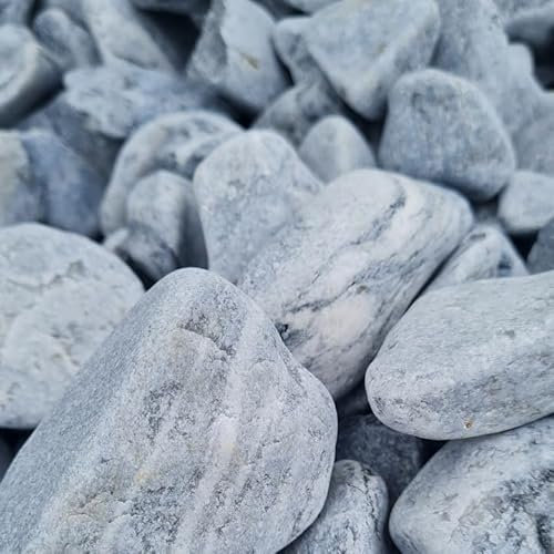 Generisch Dekosteine Kieselsteine Natur Grau Kieselsteine Deko Verschiedene Deko Kieselsteine - Gemischter Flusskies für Vasenfüller, Landschaftsbau, Aquarien & Garten (2-4cm, 20)