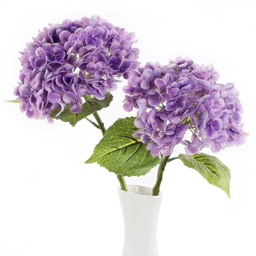 Genérico huaao 2 Flores Artificiales Grandes de hortensias Flores Artificiales como Tallo Largo Real Hydrangea, decoración para Bodas, Oficina, centros de Mesa, salón, Fiesta, Morado