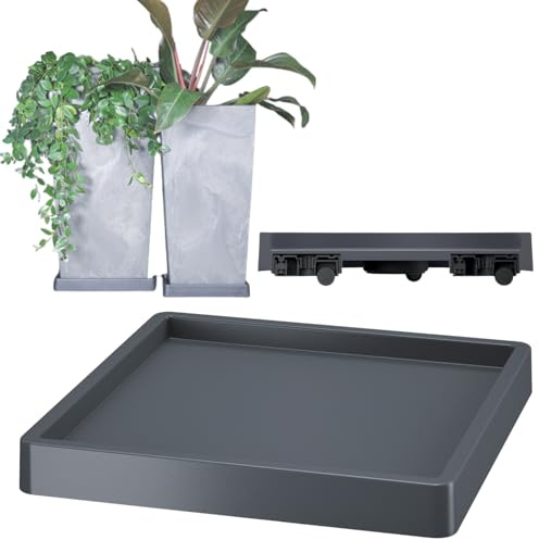 DTU24 Pflanzenroller quadratisch 29,2 x 29,2 cm, 40 kg Tragkraft, Rollbrett Pflanzen, Untersetzer Blumentopf für den Innen- sowie Außenbereich (Eckig, Anthrazit) Pflanzenuntersetzer mit 4 Lenkrollen