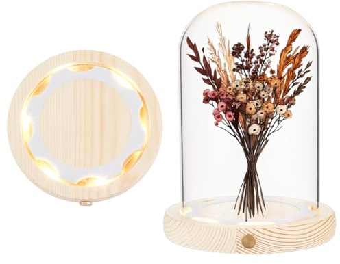 NBEADS Glass Dome Cloche with LED Light Base, High Transparency Display Dome Eternal Flower Glass Dome Cover for Centerpieces Plants Rocks Specimens Decorations Crafts, 125.5x170mm, Arch