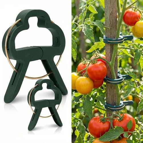 AebeChun Pflanzenclips, 50X L & M Set Pflanzklammern für Kletterpflanzen, Tomatenclips, Pflanzen Rankhilfe Clips, Tomaten Clips, Blumenklammern, Klammern Befestigen für Pflanzen Groß