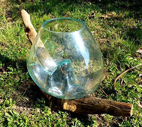 Vase ou Aquarium en Verre soufllé sur Racine de Bois, Hauteur Environ 20cm, Chaque modèle est Unique. Envoi aléatoire Vendeur Francais. Livraison en Point Relais.