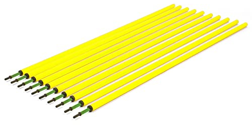 Sport-Thieme Slalomstangen-Set
