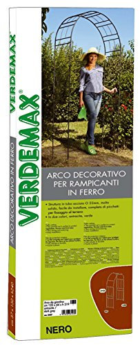 Verdemax 3417 36 x 110 x 225 cm Europea Giardino Arco in Acciaio per Creepers, Colore: Antracite