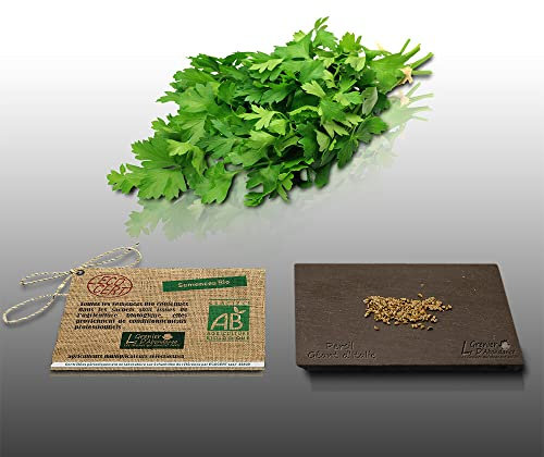 200 graines Bio à semer - Le Grenier d'Abondance - PERSIL Géant d'Italie - Certifié AB - Curcurbita maxima