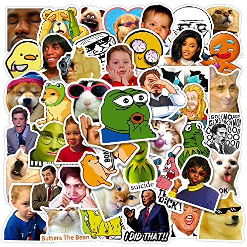 Paquete de 100 calcomanías de vinilo impermeables de memes, divertidas, motivacionales y de moda para adultos y adolescentes, para portátil, iPhone, botellas de agua, computadora