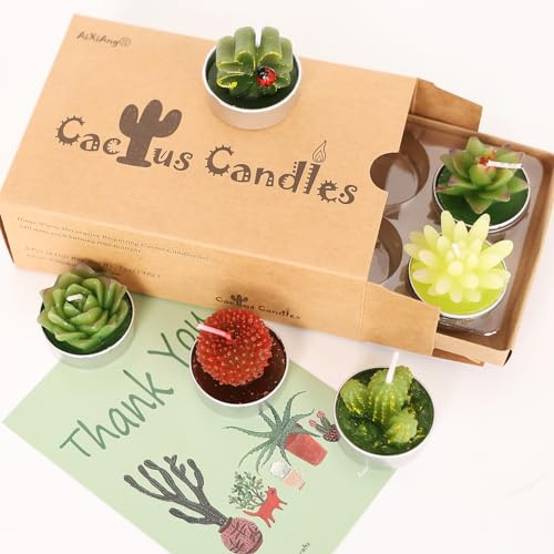 AIXIANG 6 Styles Succulent Candles Gift Set for Home Decor Housewarming,Baby Shower, Wedding, Holiday Gifts