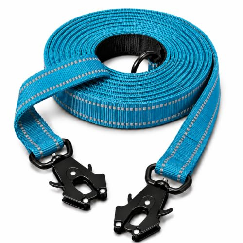 Lina Pet Hundeleine 3m x 2,5 cm, Verstellbare Doppelleine aus Nylon mit Aluminium-Karabiner, Führleine Reflektierend für große und mittelgroße Hunde