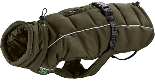 HUNTER Hundemantel Paxson Dachshund, Farbe: Oliv, wasserabweisend & warm gefüttert, idealer Wetterschutz, reflektierend, für kleine Hunde mit langem Rumpf, Größe: 36