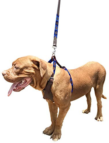 Carlos Diaz Hundegeschirr-Set aus echtem Leder, gewachst, bestickt, einfache Kontrolle, kein Ziehen, Brustgeschirr und Leine, Größe L