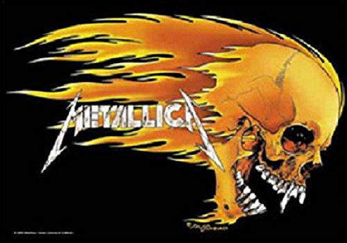 Metallica,Skull & Flames, Fahne