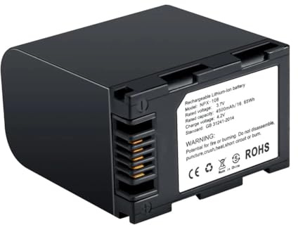 Cvoepobey Batterie Rechargeable NPX-108 4500 MAh pour Appareil Photo RX100 RX200/Double Chargeur pour Caméscopes Vidéo 1 Batterie