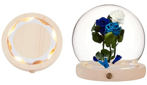 NBEADS Campana A Cupola In Vetro con Base Luminosa A LED, Cupola di Vetro Ad Alta Trasparenza per Esposizione di Fiori Eterni Centrotavola Rocce Esemplari Decorazioni, 120x116mm, Tondo