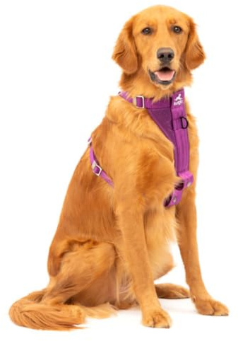 Kurgo Tru-Fit - Arnés de Seguridad para Coche para Perros - Regulación de Cinco Puntos y Hebilla de Seguridad - Púrpura Oscuro - L