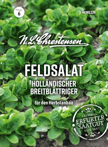 Feldsalat Holländischer breitblättriger für Herbst - und Frühjahrsernte Großpackung