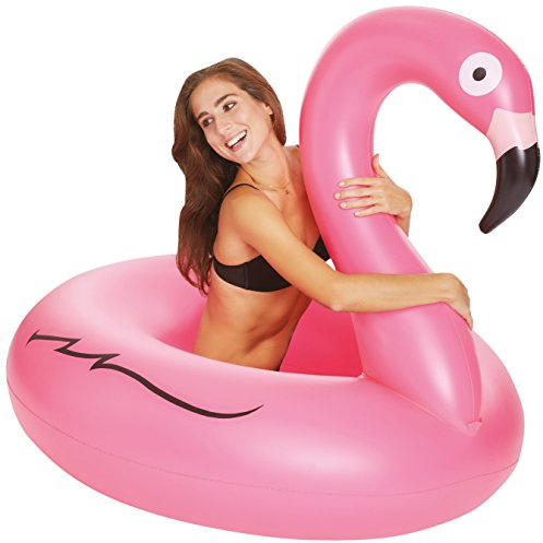Wehnke Schwimmreifen Flamingo, Mehrgarbig