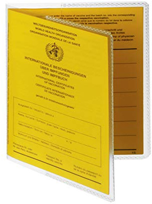 Durable Doppelhülle für Impfausweise und Dokumente 195x133 mm, 10 Stück, transparent, 213919 | Schutzhülle aus strapazierfähiger Folie, für Dokumente 195x133 mm, mit seitlichen Einstecklaschen