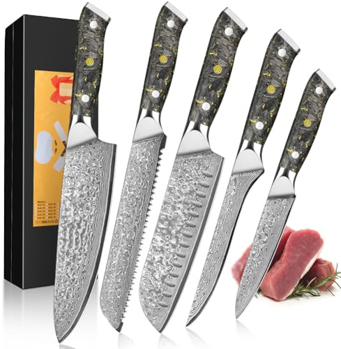 Set di Coltelli Damasco da 5 Pezzi, Coltello da Cucina 67 Strati in Acciaio di Damasco con Coltello Dello Chef Coltello Santoku Coltello da Pane Coltello da Carne Coltello per Uso Generale Coltello