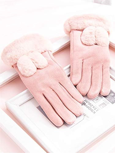 Lederhandschuhe für Damen Touch-Screen-Handschuhe Female Winter-warme Reit Plus Velvet Cold Winter Handschuhe (Color : Pink, Size : One size)