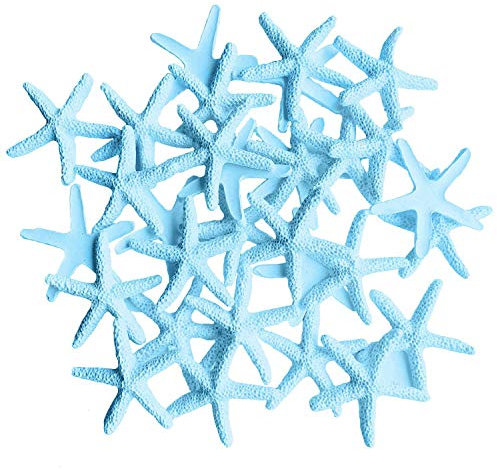 Zhichengbosi, confezione da 30 stelle marine di colore azzurro, per decorazione matrimoniale e per la casa